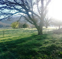 Bay Creek Guest House - Accommodation Mount Tamborine