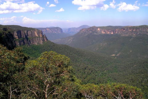Ribbon Gum Lodge - Accommodation Mount Tamborine 1