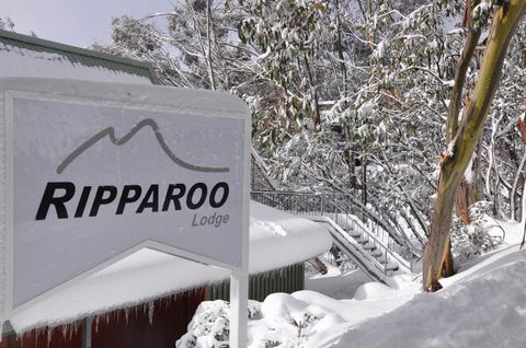 Ripparoo Lodge - Accommodation Mount Tamborine 0