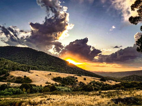 Roam Merrijig - Luxury Stay With Mountain Views - Foothills Of Mt Buller - Accommodation Mount Tamborine 1