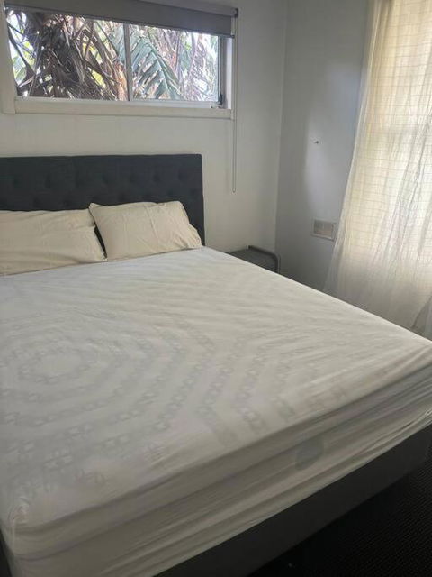 Royal Botanic Garden Yarra River - Accommodation Mount Tamborine 0