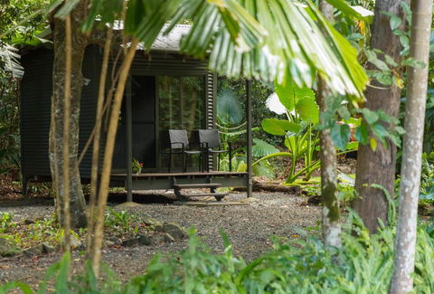 Safari Lodge - Accommodation Mount Tamborine 2