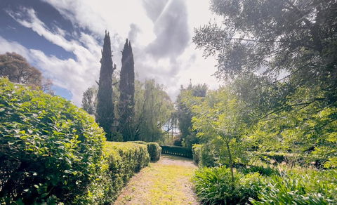 Sanctuary Park Cottages - Accommodation Mount Tamborine 1
