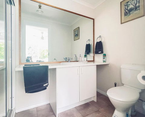 Sanctuary Park Cottages - Accommodation Mount Tamborine 2
