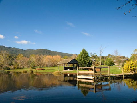 Sanctuary Park Cottages - Accommodation Mount Tamborine 0