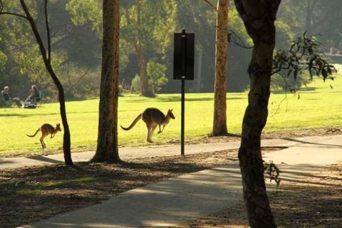 Super Luxury Self Contained Studio Unit - Accommodation Mount Tamborine 3