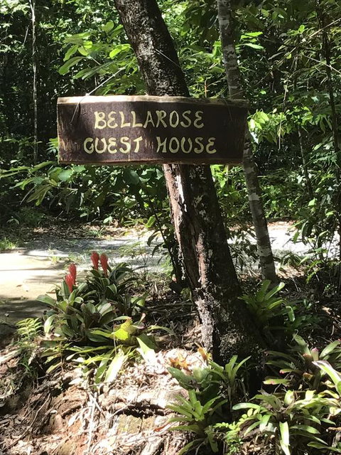 Bellarose Guest House - Accommodation Mount Tamborine 3