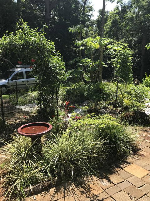 Bellarose Guest House - Accommodation Mount Tamborine 1