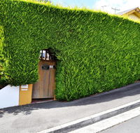 Belton Apartments - The Studio - Accommodation Mount Tamborine