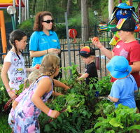 BIG4 Koala Shores Holiday Park - Accommodation Mount Tamborine