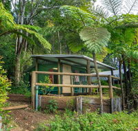 Binna Burra Rainforest Campsite - Accommodation Mount Tamborine