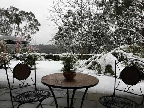 Black Cockatoo Retreat - Accommodation Mount Tamborine 3