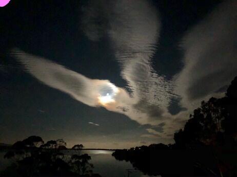 Blue Waters Holiday Cottages - Accommodation Mount Tamborine 2