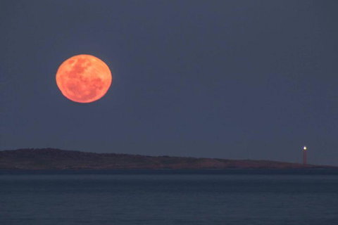 Blue Waters Holiday Cottages - Accommodation Mount Tamborine 1