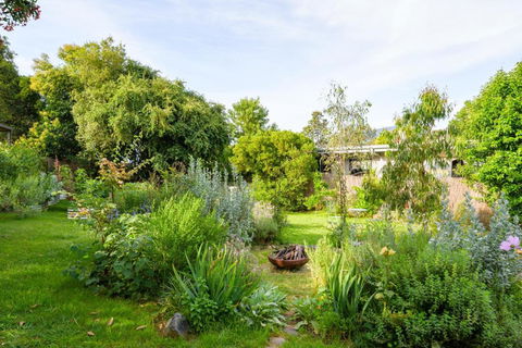 The Secret Garden - Alpine Retreat - Accommodation Mount Tamborine 2