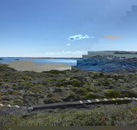 Penguin Island And Fremantle - Canoe Chocolate  Coffee - Accommodation Mount Tamborine