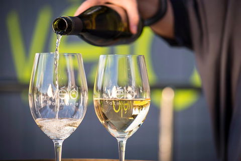 Full Day Tamar Valley Wine Tour - Accommodation Mount Tamborine 2
