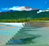 5-Day Best of Cairns with Daintree Kuranda and Great Barrier Reef - Accommodation Mount Tamborine