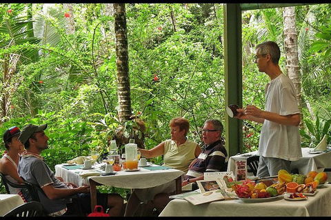 8-Day Cairns Tour: Great Barrier Reef, Kuranda, Daintree Rainforest - Accommodation Mount Tamborine 4