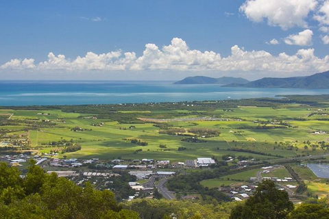 3-Day Best Of Cairns Combo: The Daintree Rainforest, Great Barrier Reef, And Kuranda - Accommodation Mount Tamborine 3