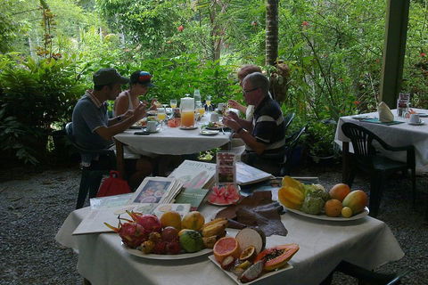 3-Day Best Of Cairns Combo: The Daintree Rainforest, Great Barrier Reef, And Kuranda - Accommodation Mount Tamborine 5