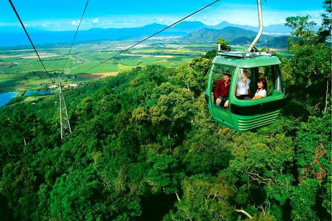 4-Day Cairns Ultimate Combo: Daintree Rainforest, Reef, Kuranda & Paronella Park - Accommodation Mount Tamborine 1