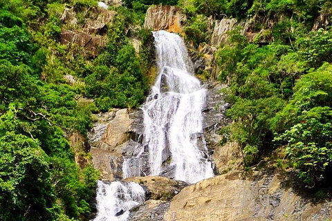 Barron Gorge And Kuranda National Park Half Day Rainforest And Waterfall 4WD Tour From Cairns - Accommodation Mount Tamborine 1