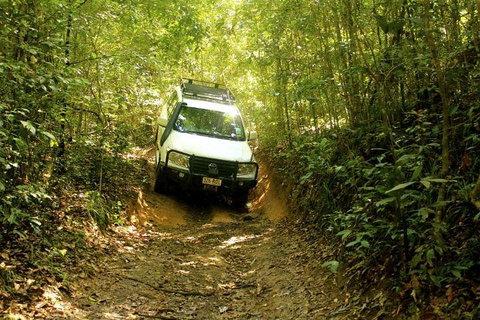 Barron Gorge And Kuranda National Park Half Day Rainforest And Waterfall 4WD Tour From Cairns - Accommodation Mount Tamborine 2