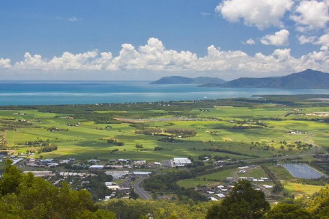 Barron Gorge And Kuranda National Park Half Day Rainforest And Waterfall 4WD Tour From Cairns - Accommodation Mount Tamborine 3