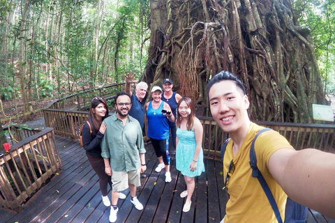Barron Gorge And Kuranda National Park Half Day Rainforest And Waterfall 4WD Tour From Cairns - Accommodation Mount Tamborine 5