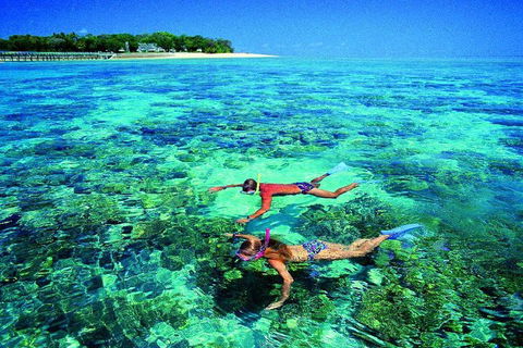 4-Day Cairns With Great Barrier Reef And Daintree Rainforest - Accommodation Mount Tamborine 2