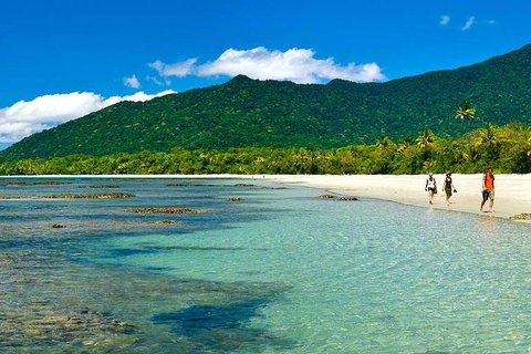 Private Daintree National Park Day Tour From Cairns Including Cape Tribulation And Mossman Gorge - Accommodation Mount Tamborine 0