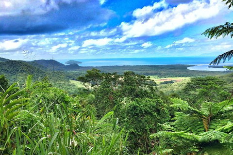 Private Daintree National Park Day Tour From Cairns Including Cape Tribulation And Mossman Gorge - Accommodation Mount Tamborine 2