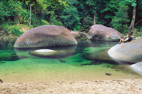 Private Daintree National Park Day Tour From Cairns Including Cape Tribulation And Mossman Gorge - Accommodation Mount Tamborine 4