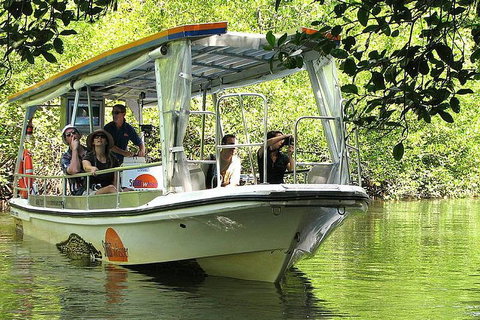 Private Daintree National Park Day Tour From Cairns Including Cape Tribulation And Mossman Gorge - Accommodation Mount Tamborine 5