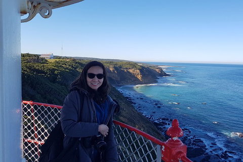 Great Ocean Road Full Day Private Experience - Accommodation Mount Tamborine 1