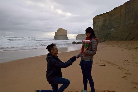 Private Express Experience - 12 Apostles - Accommodation Mount Tamborine 2