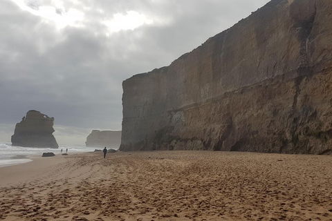 Private Express Experience - 12 Apostles - Accommodation Mount Tamborine 4