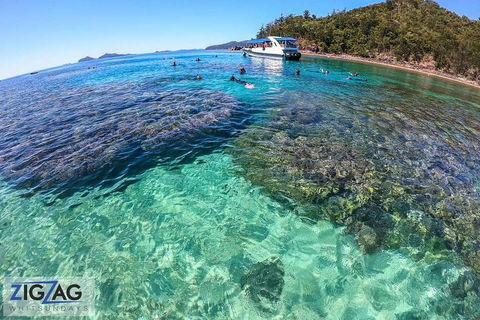 Whitehaven Beach Day Tour With Snorkel In Whitsundays Island - Accommodation Mount Tamborine 5