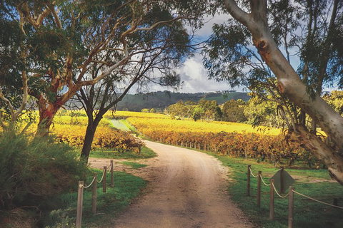 McLaren Vale Winery Small Group Tour With Wine Tasting And Lunch - Accommodation Mount Tamborine 1