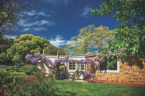 McLaren Vale Winery Small Group Tour With Wine Tasting And Lunch - Accommodation Mount Tamborine 2