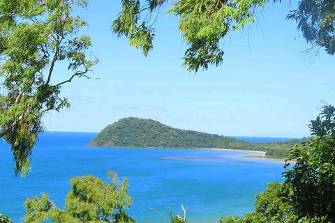 Full Day Tour In The Daintree - Accommodation Mount Tamborine 1