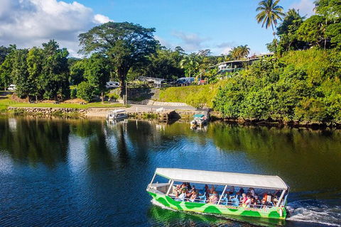 Full Day Tour In The Daintree - Accommodation Mount Tamborine 2