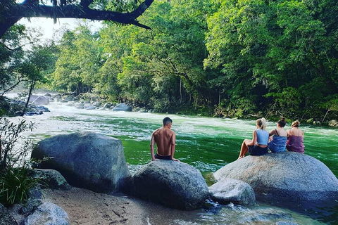 Full Day Tour In The Daintree - Accommodation Mount Tamborine 3