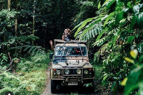 Full Day Tour In The Daintree - Accommodation Mount Tamborine 4