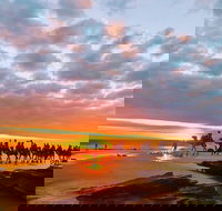 1 Hour Broome Sunset Camel Tour - Accommodation Mount Tamborine