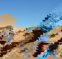 Broome Pre-sunset Camel Tour 30 minutes - Accommodation Mount Tamborine