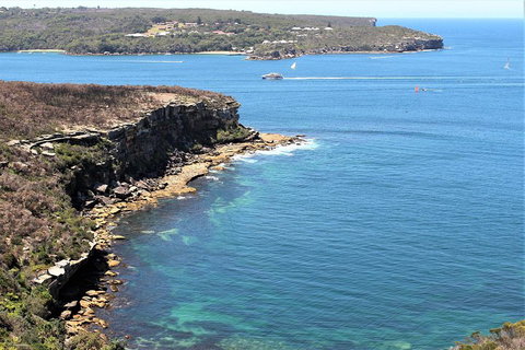Half Day Manly Beach And More - Accommodation Mount Tamborine 0