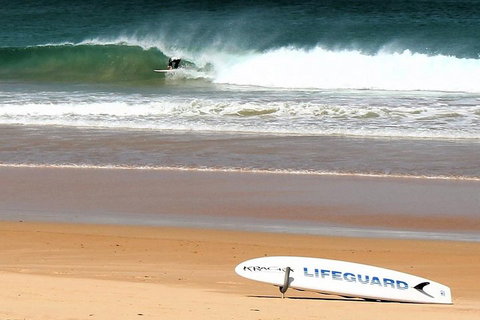 Half Day Manly Beach And More - Accommodation Mount Tamborine 5