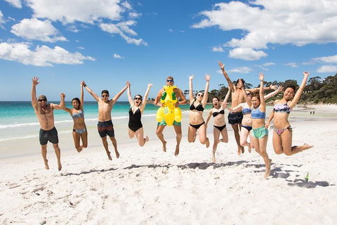 5-Day Lap Of Tasmania Tour From Hobart (flexible Ticket) - Accommodation Mount Tamborine 4